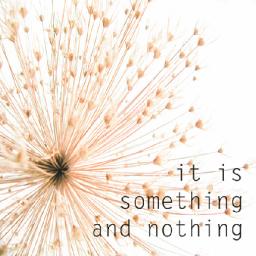 An Introduction to Something and Nothing