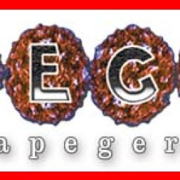 Banner.jpg