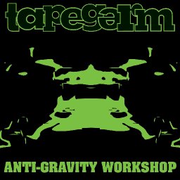 Anti-Gravity Workshop